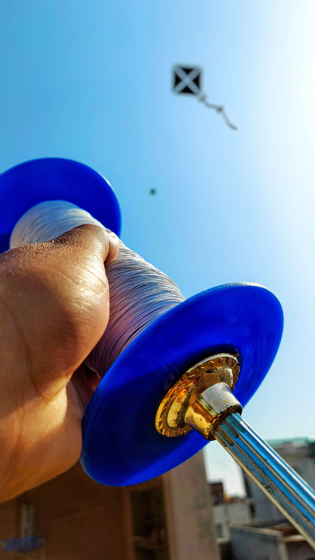 A blue round shape roll with majha in it and a kite flying in air 